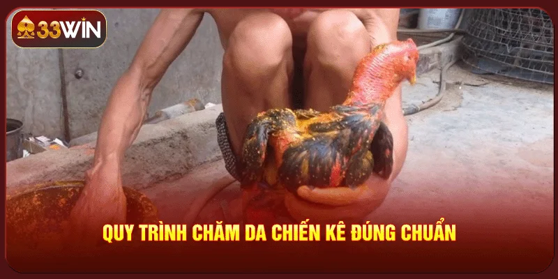 Cách Om Bóp Gà Chọi Đúng