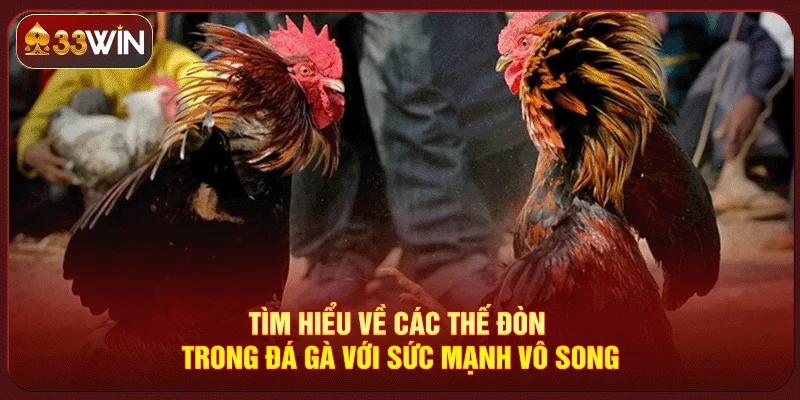 Các Thế Đòn Trong Đá Gà